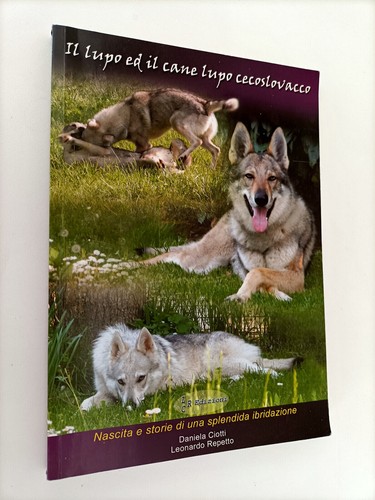 Lupo cane - lupo,