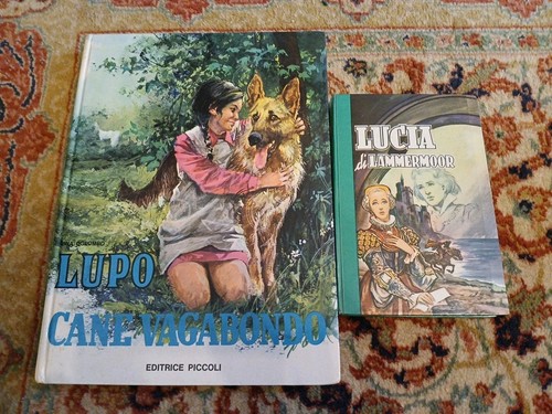 Lupo cane vagabondo gina - cane,