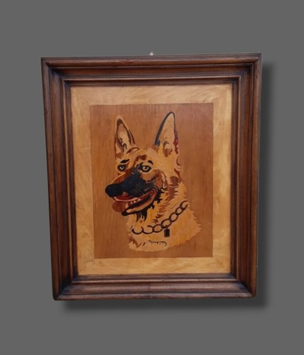 Quadro cane pastore tedesco - quadro,