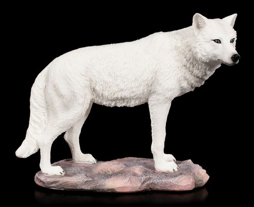 Lupo figura bianco - -, spirit