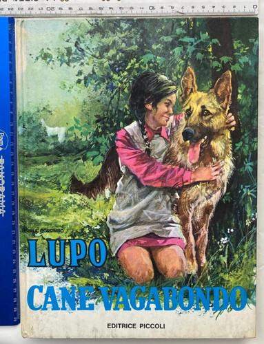 Gina colombo lupo cane - gina,