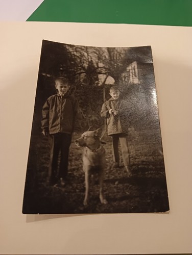 Ritratto bambini gemelli - di,