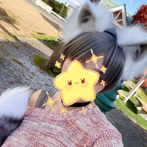Cosplay lupo - lupo, volpe