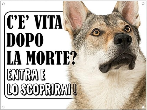 Cartello segnaletico attenti - -,