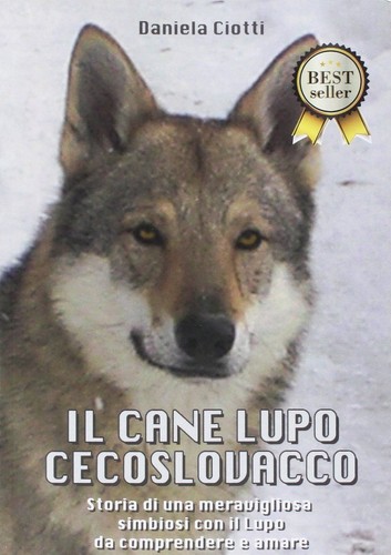 Cane lupo cecoslovacco - il,