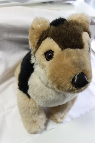 Peluche cane lupo - ,