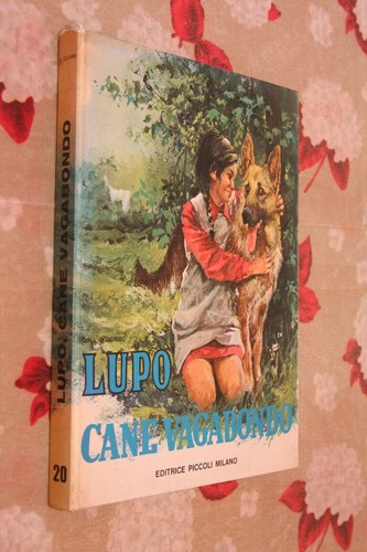 Lupo cane vagabondo - cane,